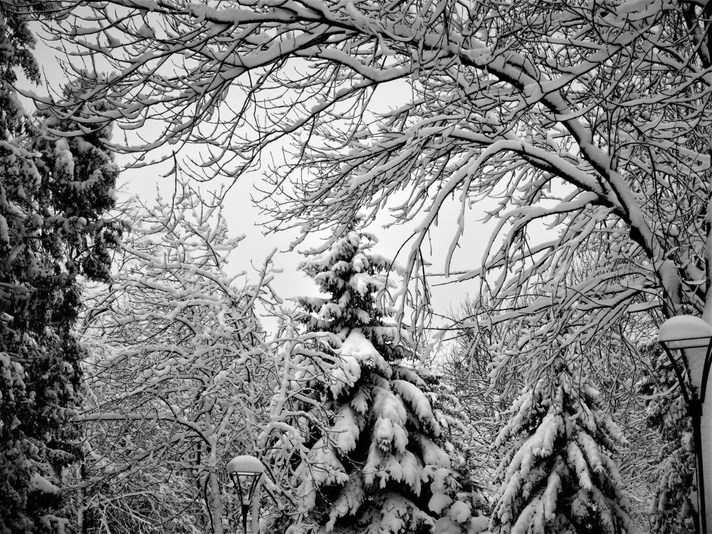 Photograph by Марина Игнатьева