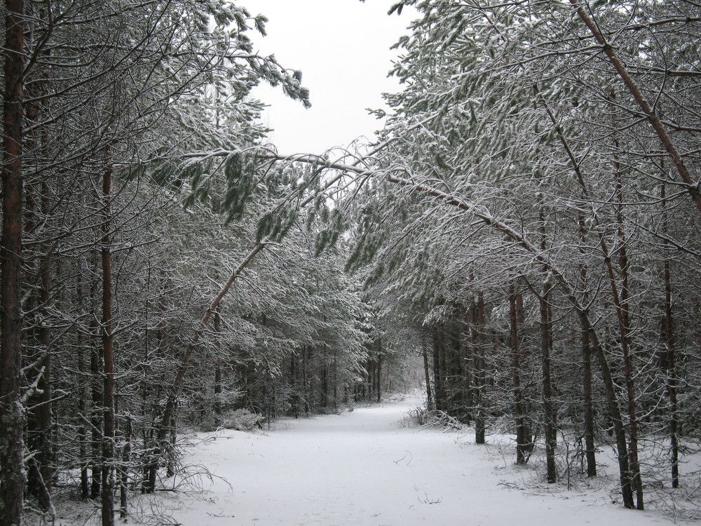 Photo #5934963