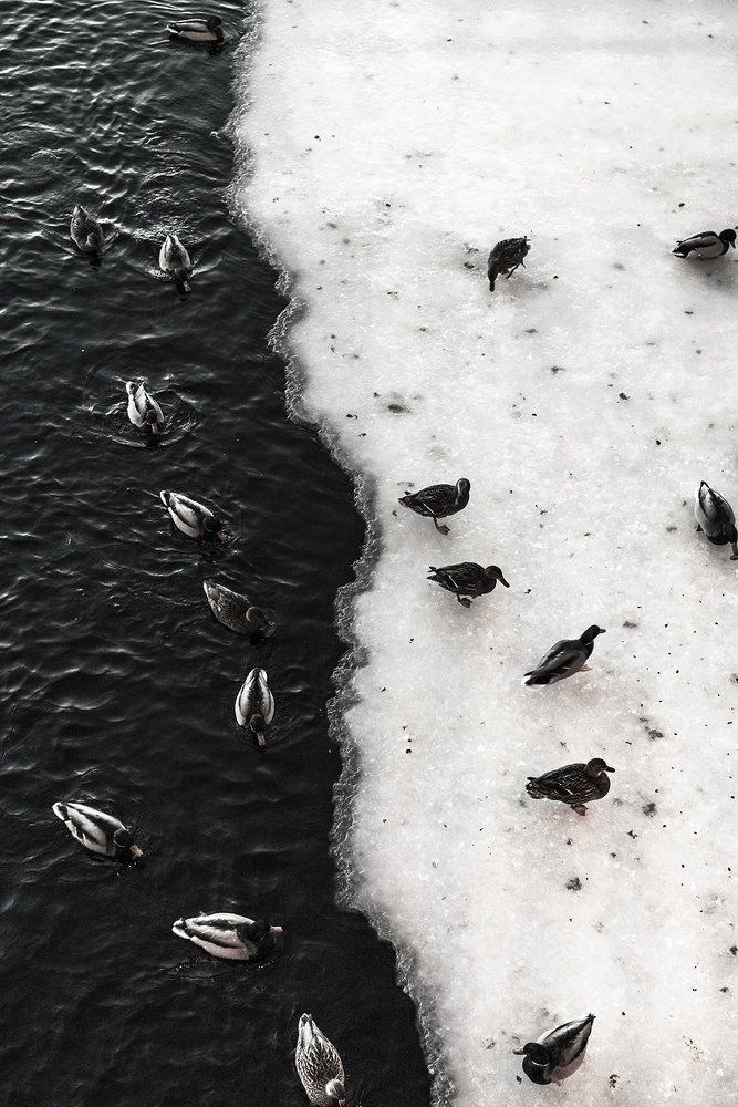 Photograph by Андрей Белле