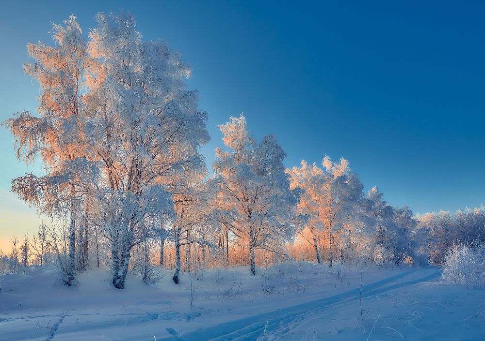 Photograph by Илья Лисаускас