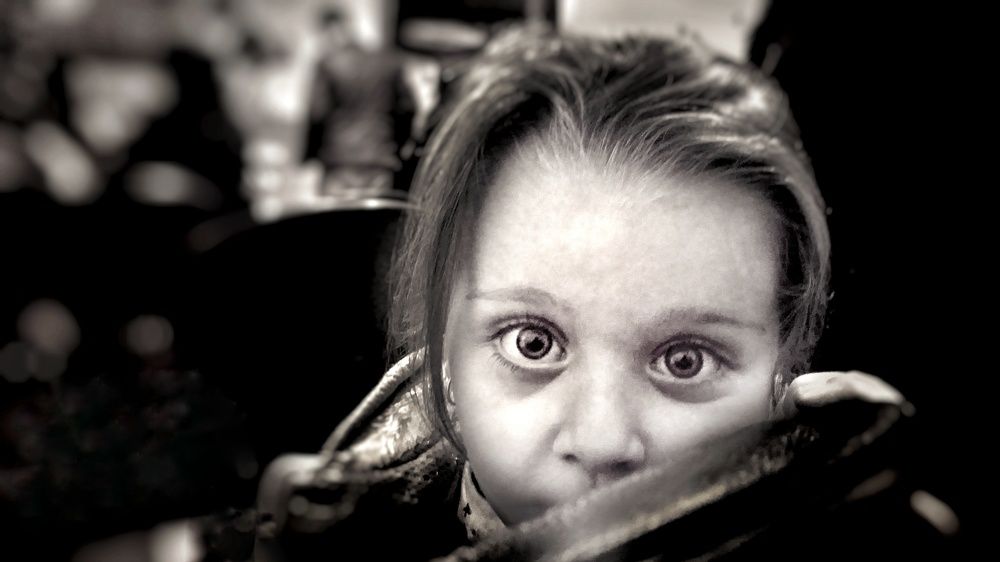 Фотография автора Ebrahim Saeedi