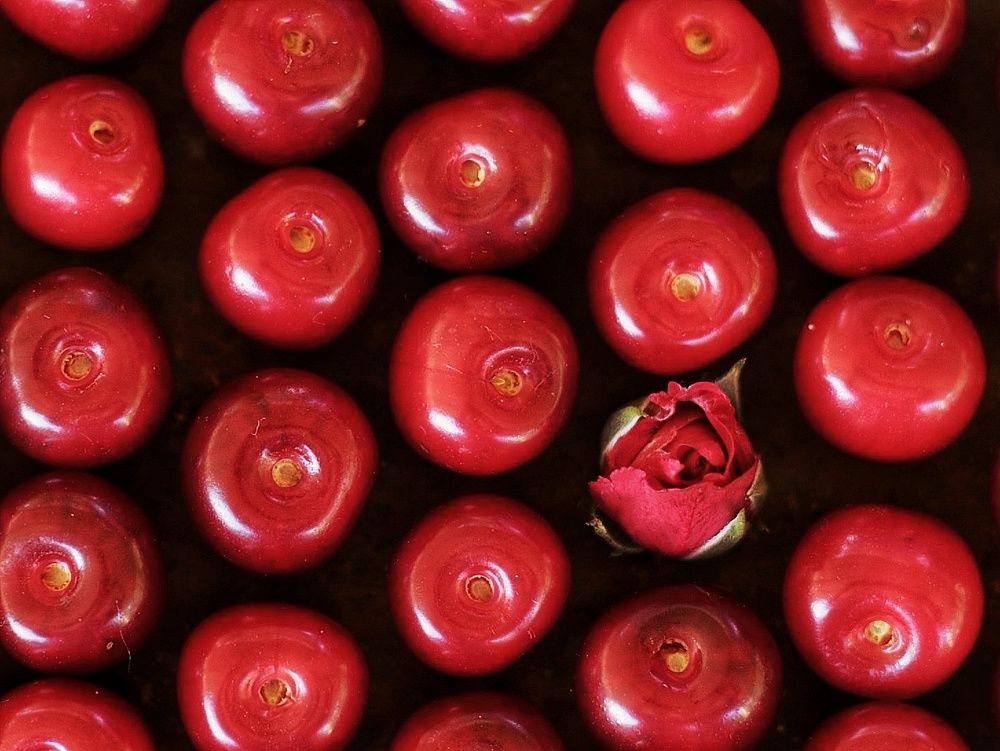 Photograph by Rasa Lukšienė