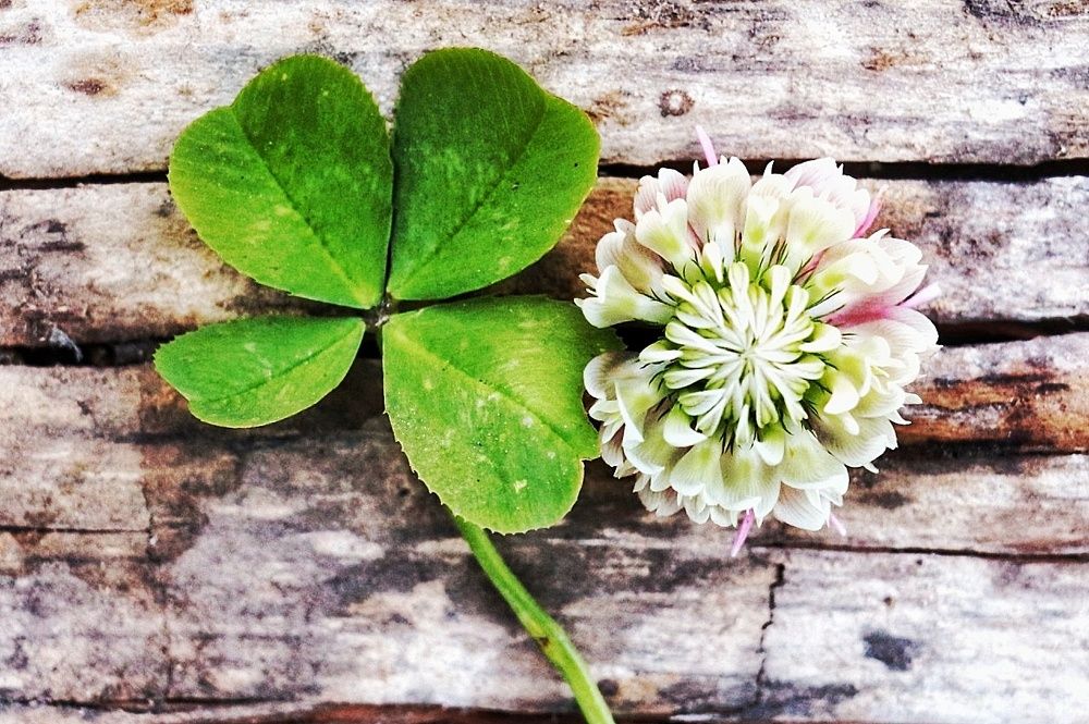 Photograph by Rasa Lukšienė