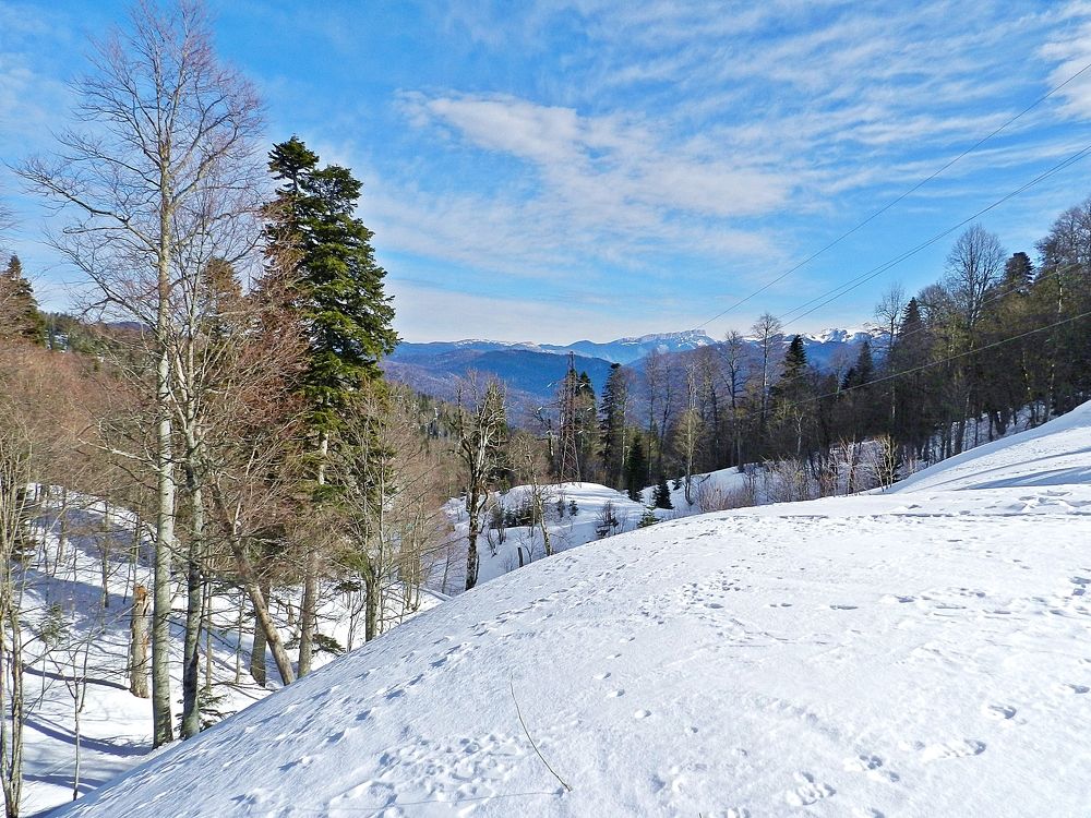 Photograph by Katerina Akalifa