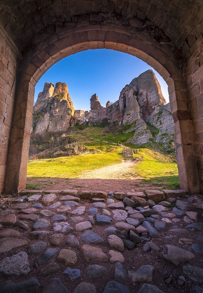 Photograph by Shopteriev