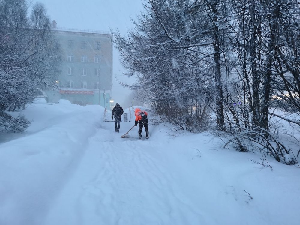 Снежный Мурманск