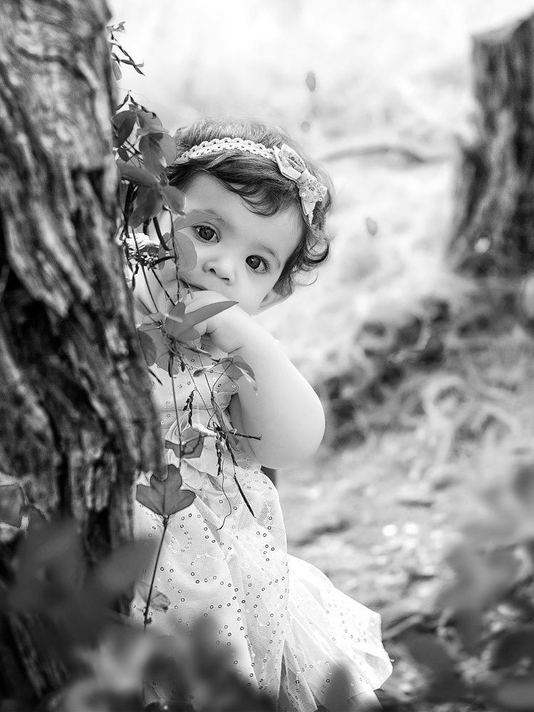 Photograph by Ricardo Carol