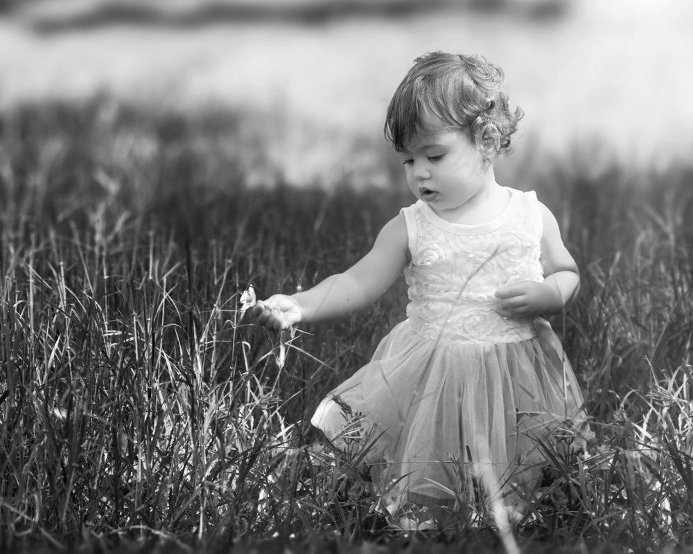 Photograph by Ricardo Carol