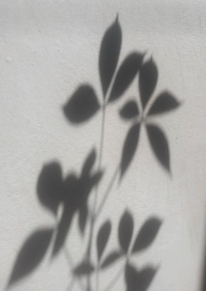 Photograph by Gonzalo Jorge Eduardo MARÓN