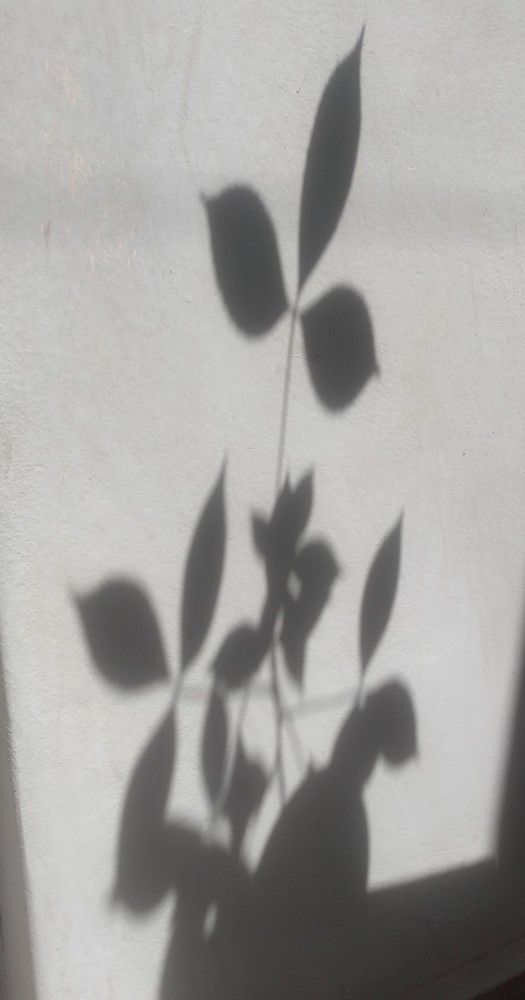 Photograph by Gonzalo Jorge Eduardo MARÓN