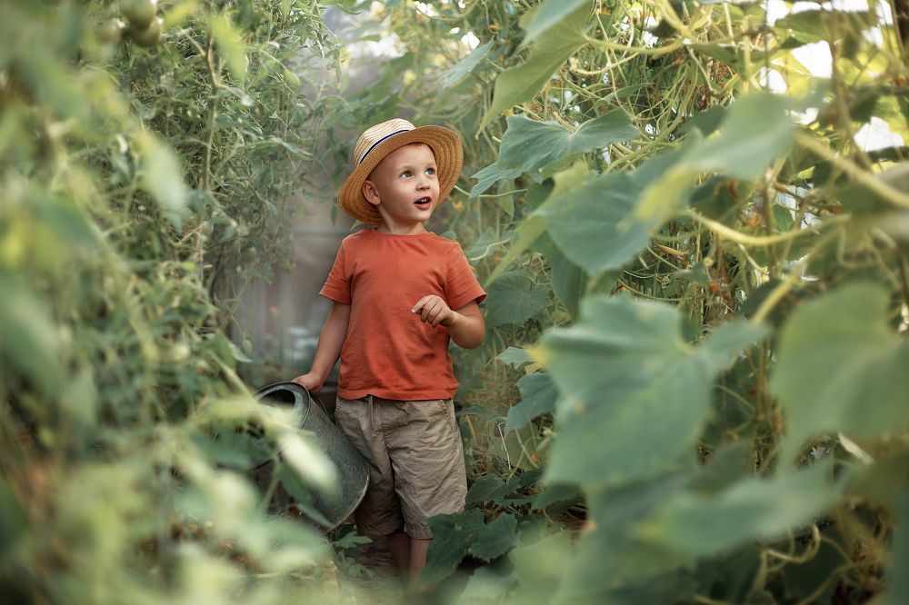 Photograph by Полина Парамонова