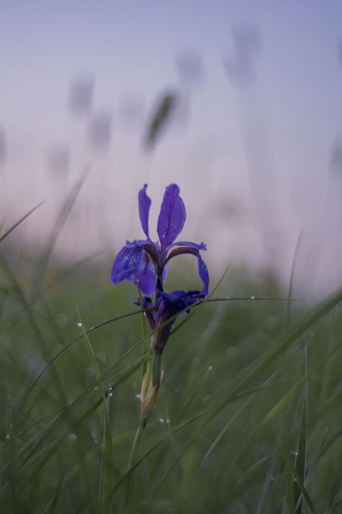 Photograph by Дарья Долкова