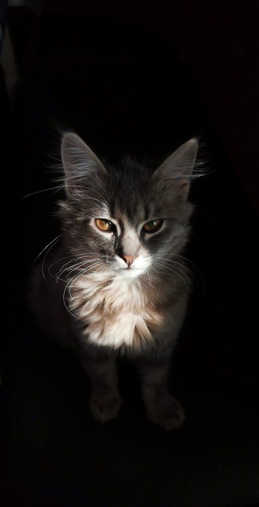 Photograph by Валерия Шкода