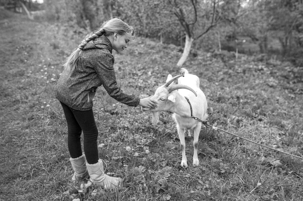 Доброта. Если человек, то с детства.