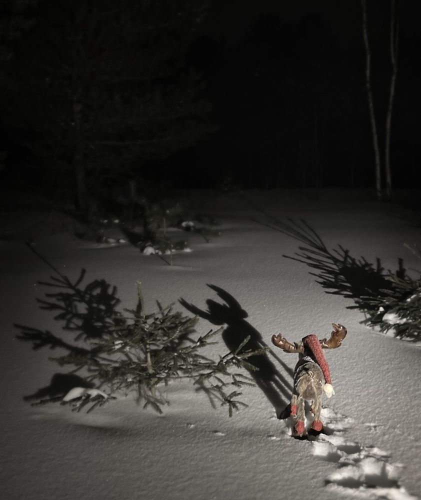 Photograph by Алексей Тихонов