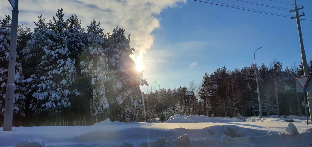 Photograph by Elfantasy