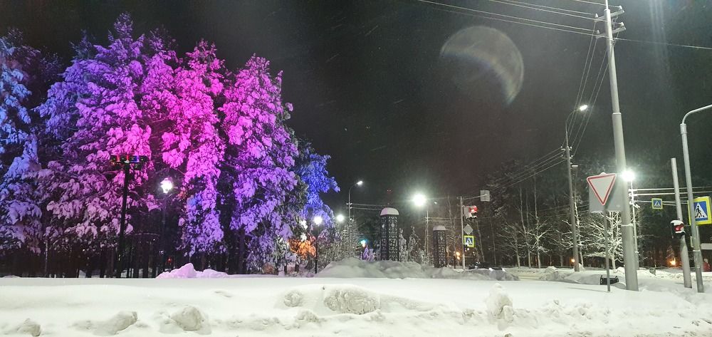 Photograph by Elfantasy