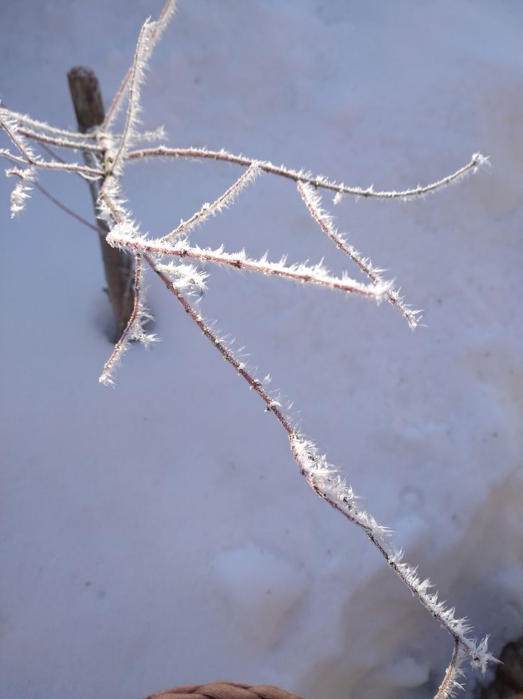 Photograph by Ирина Бельская