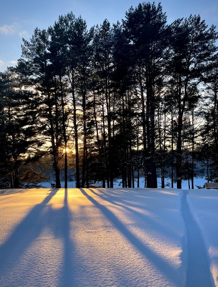Photograph by Алексей Тихонов