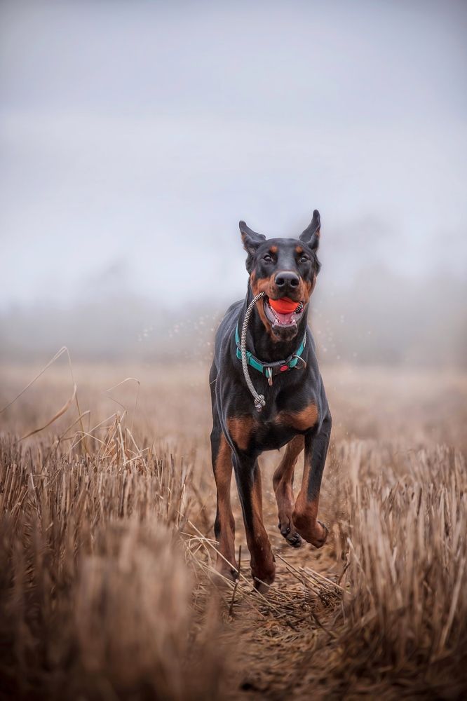 Photograph by Анна Григорьева