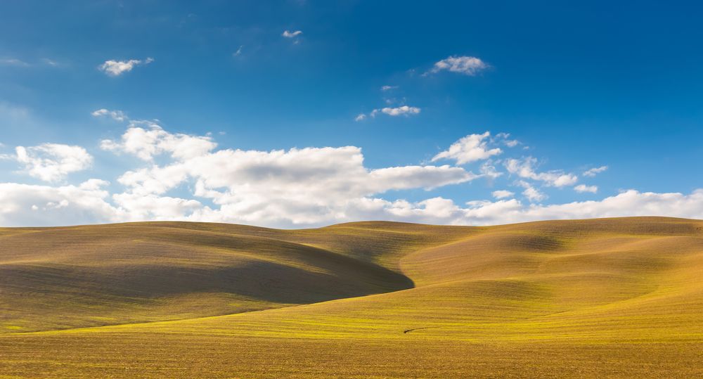 Photograph by Андрей Холмов