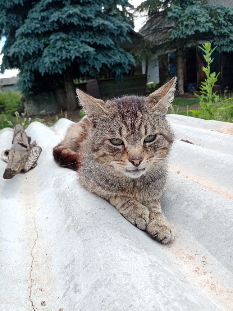 Photograph by Юлия Пракопчик