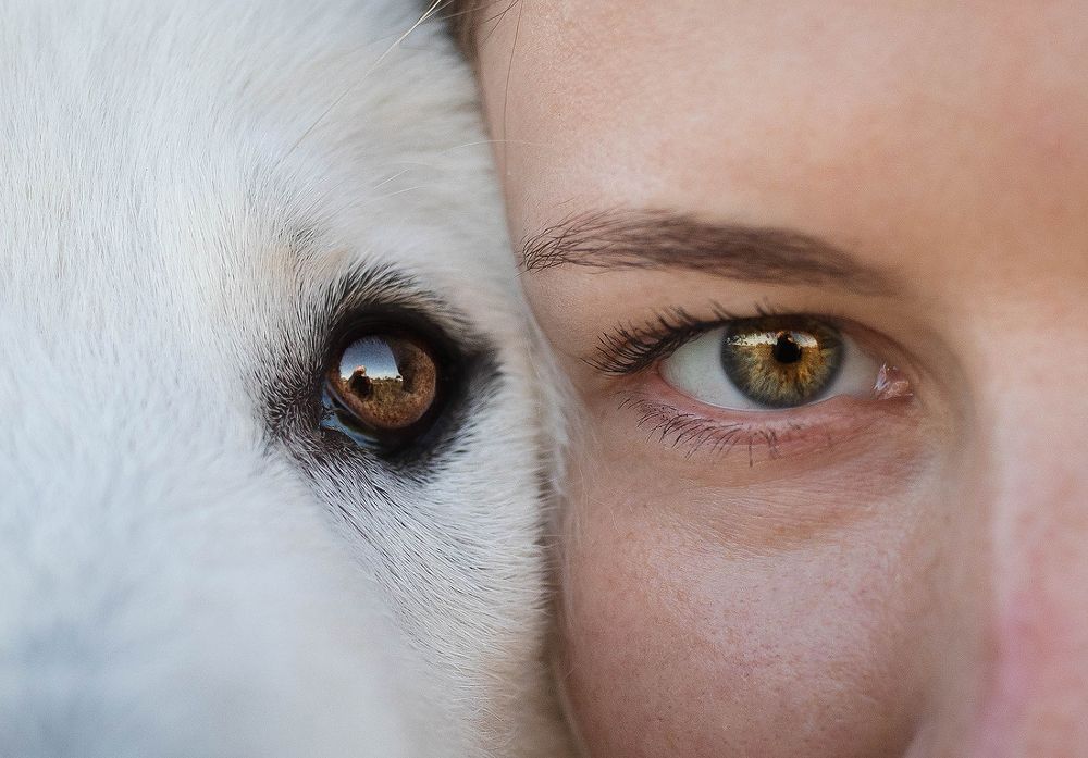 Photograph by Марина Колобанова