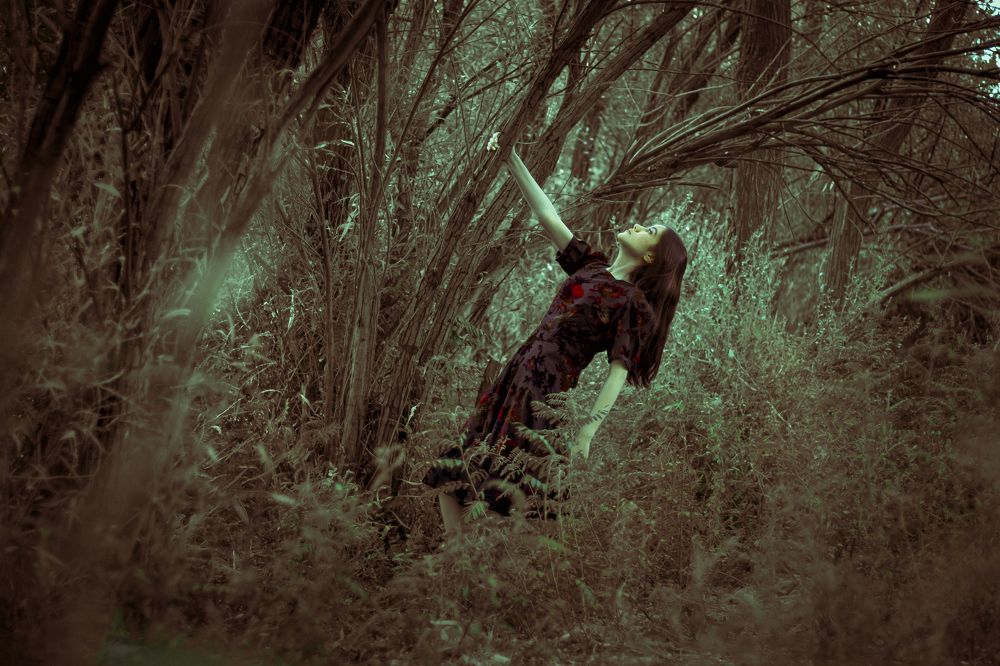 Photograph by amir kermani