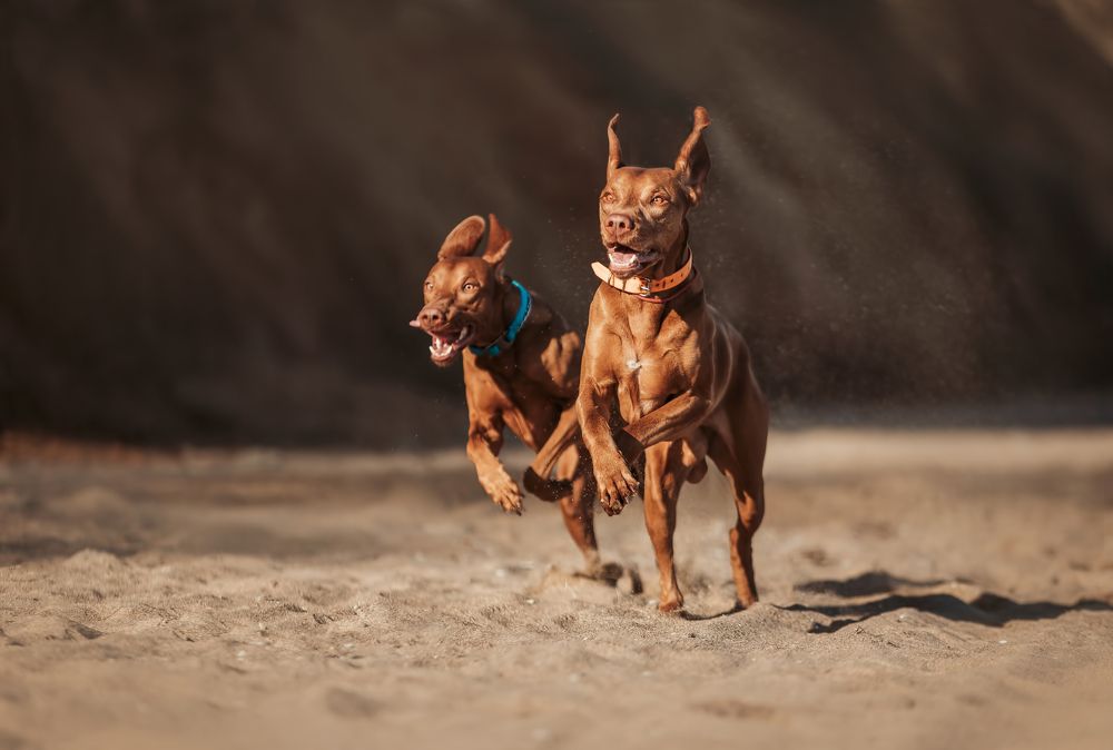 Photograph by Марина Колобанова