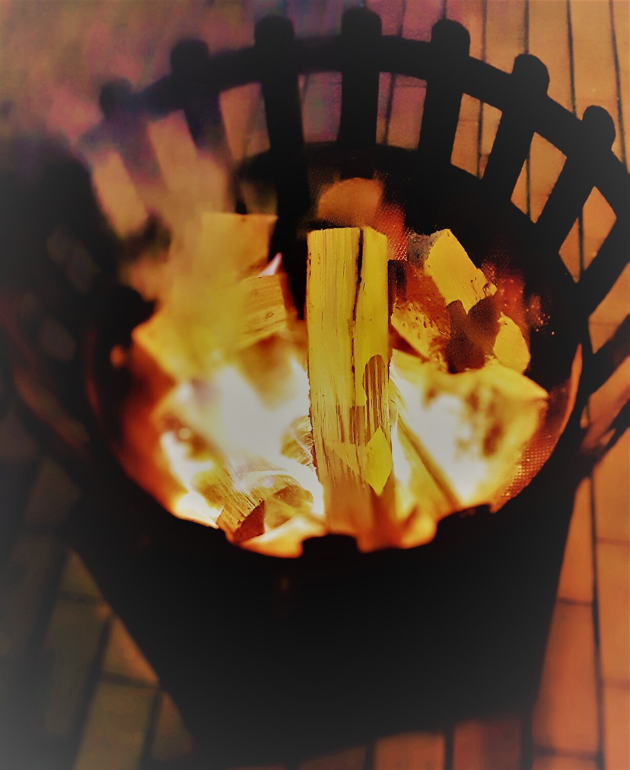 Photo #5935674