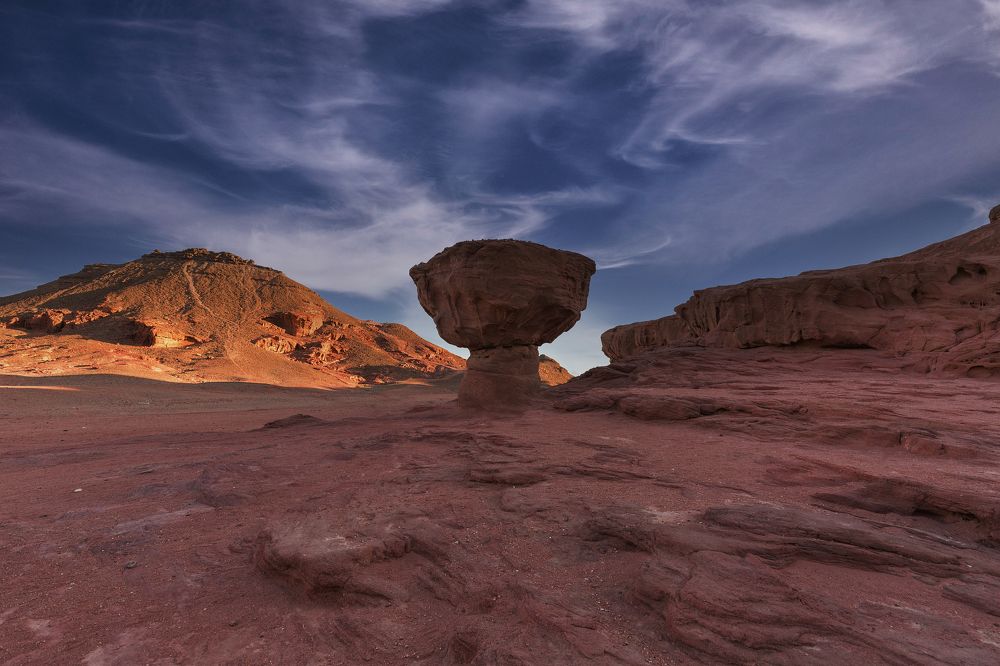 Mushroom in the Timna Nature Reserve