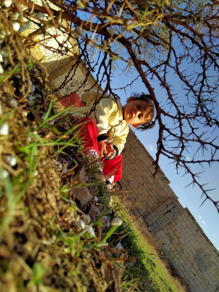 Photograph by Mohammed Eissa Ahmed Al Mashraqi