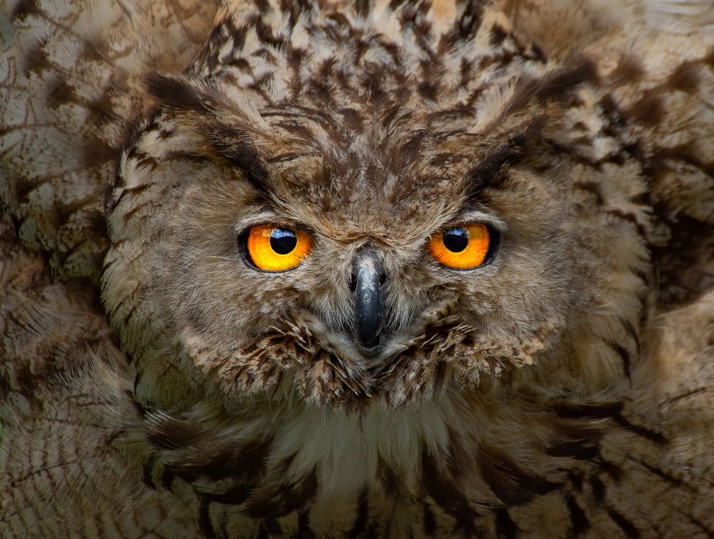 Photograph by MORTEZA ASALI