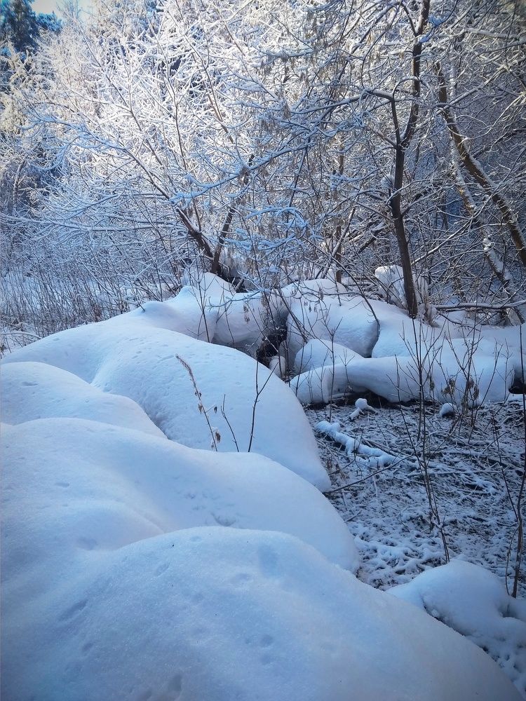 Photo #5935702
