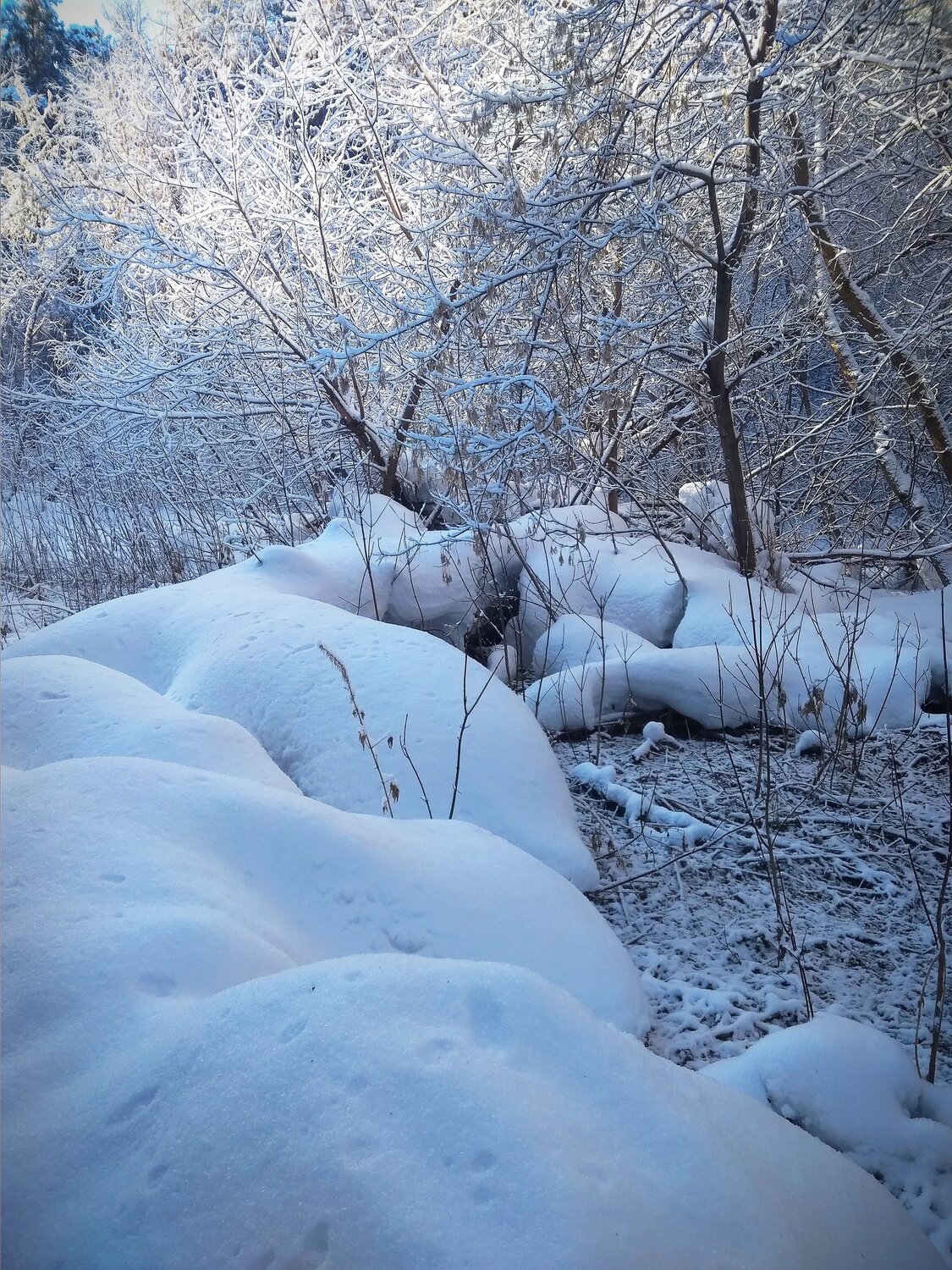 Photo #5935702