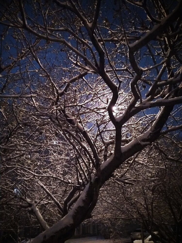 Photograph by Maria Pinigina
