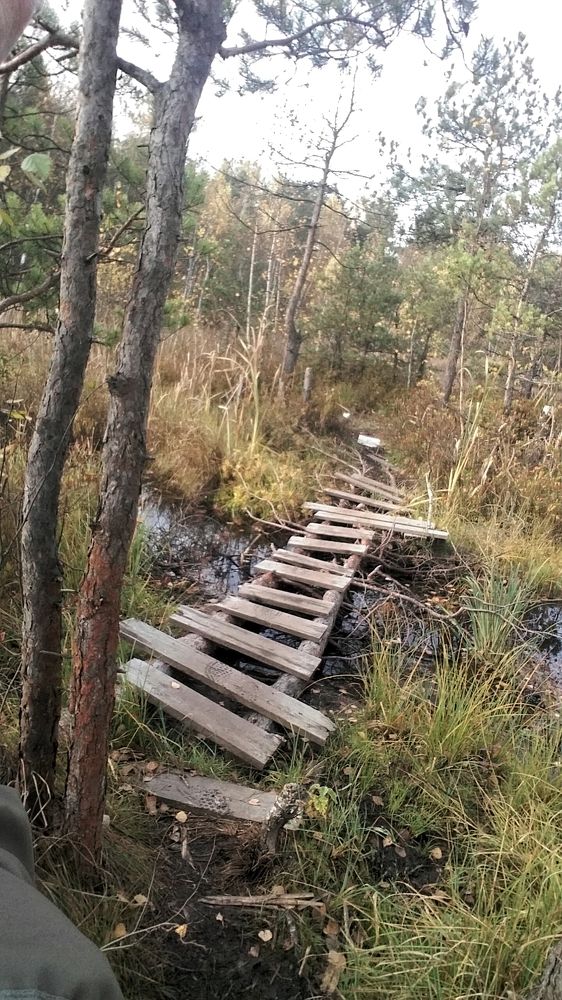 Photograph by Сергей Олейников