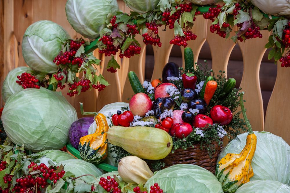 Photograph by Елена Игонина