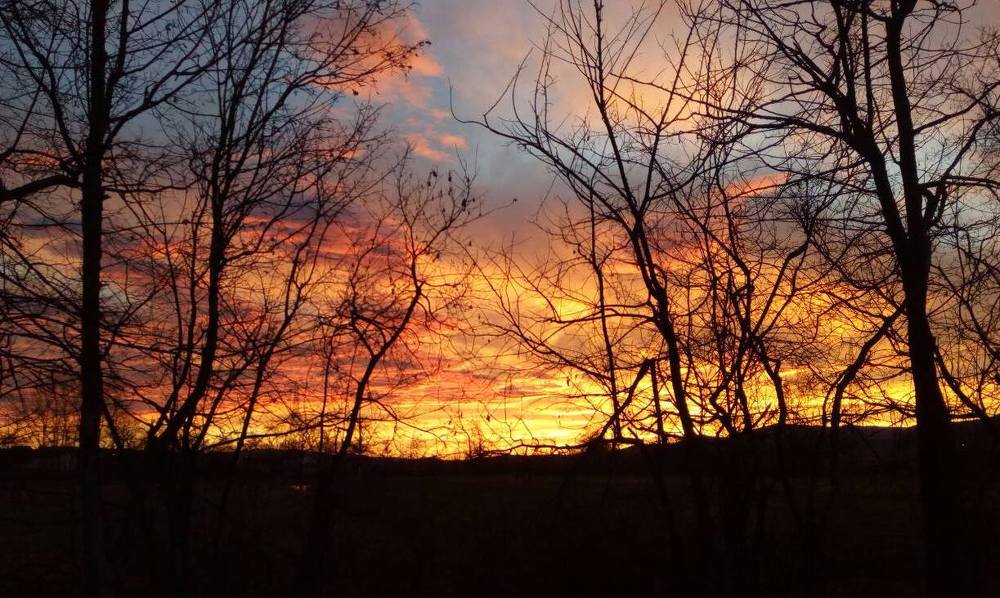 Photograph by Slobodan Miletic