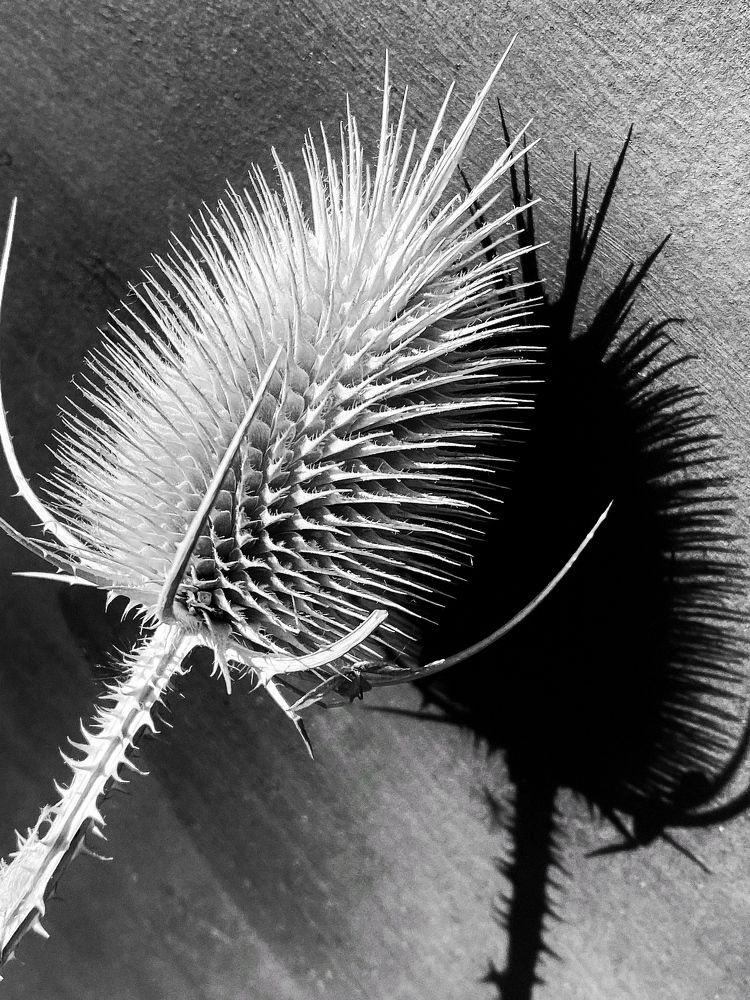 Photograph by Наталья Мальцева