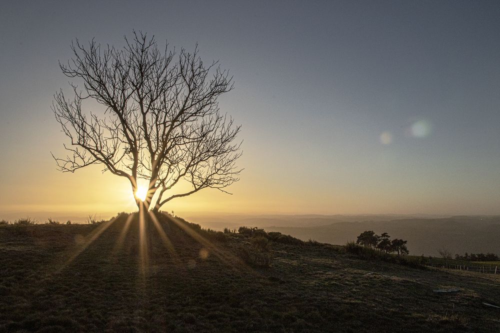 Photograph by Sandrine Gendre