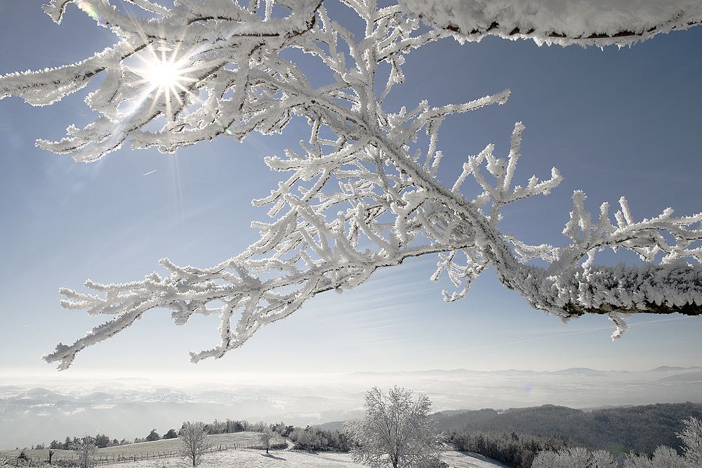 Photograph by Sandrine Gendre