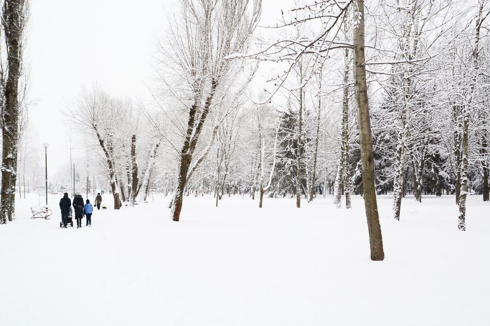 Photograph by Сергей Кривоносов