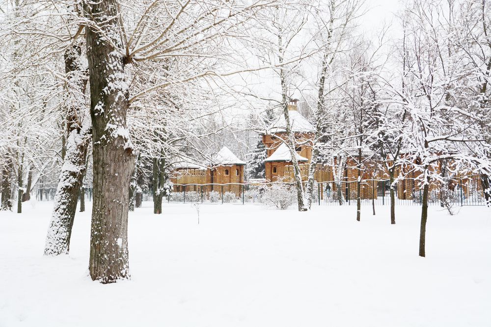 Photograph by Сергей Кривоносов