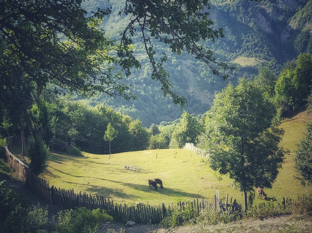Photograph by Maia Mchedlishvili