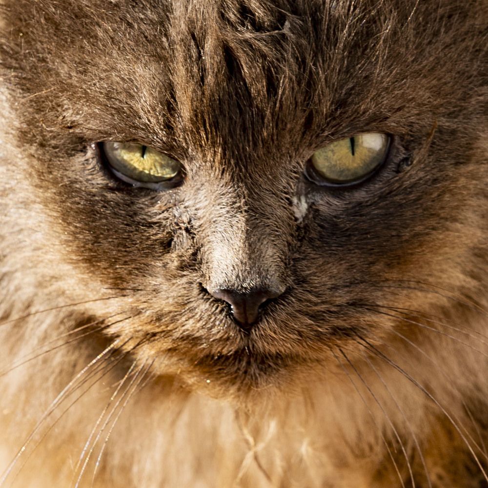 Photograph by Владислав Шигера