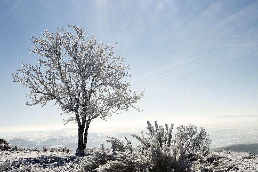 Photograph by Sandrine Gendre