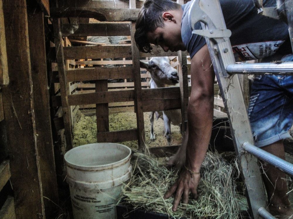 El Buen Aprisco Doña Sofía