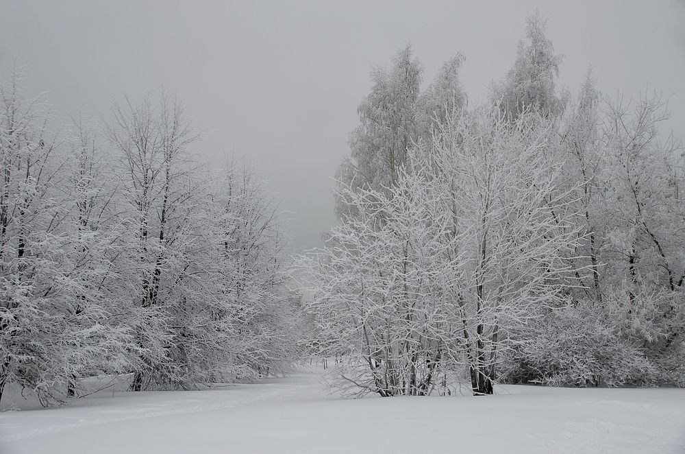 Photograph by Светлана Семенова