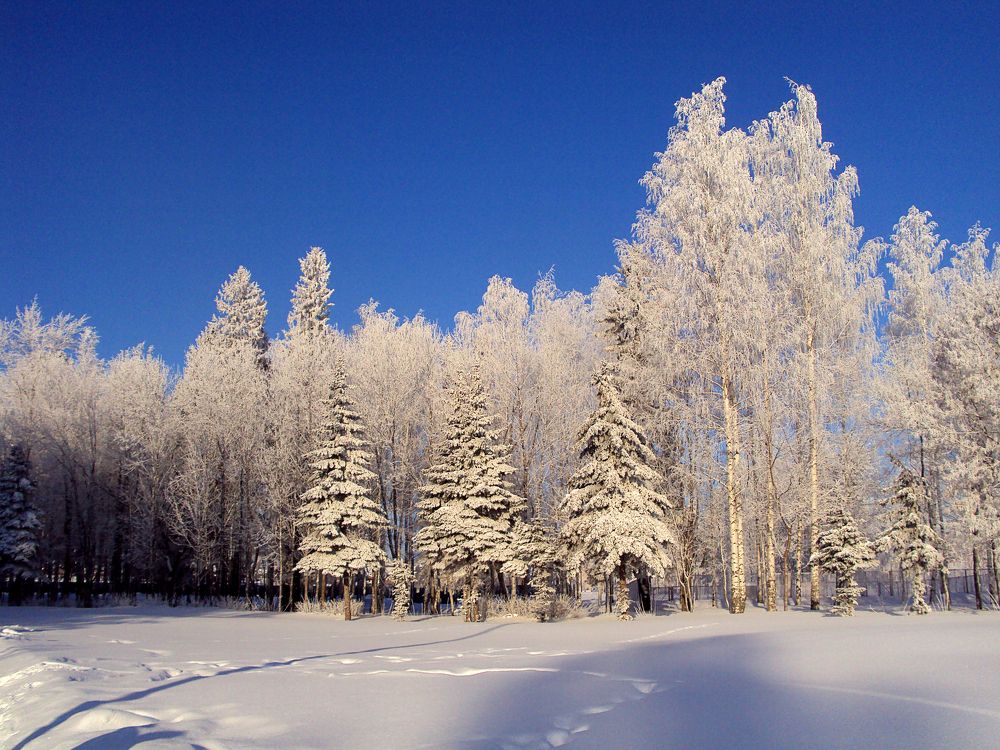 Photograph by Светлана Семенова